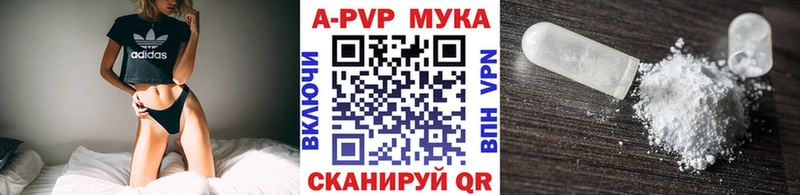  COCAIN Елизаветинская