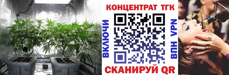 ТГК гашишное масло  где купить наркотик  Елизаветинская 